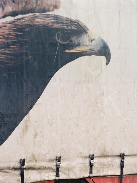 Photography of an eagle's head on a truck tarpaulin. Cyrill Lachauer, Sammlung Goetz, Munich