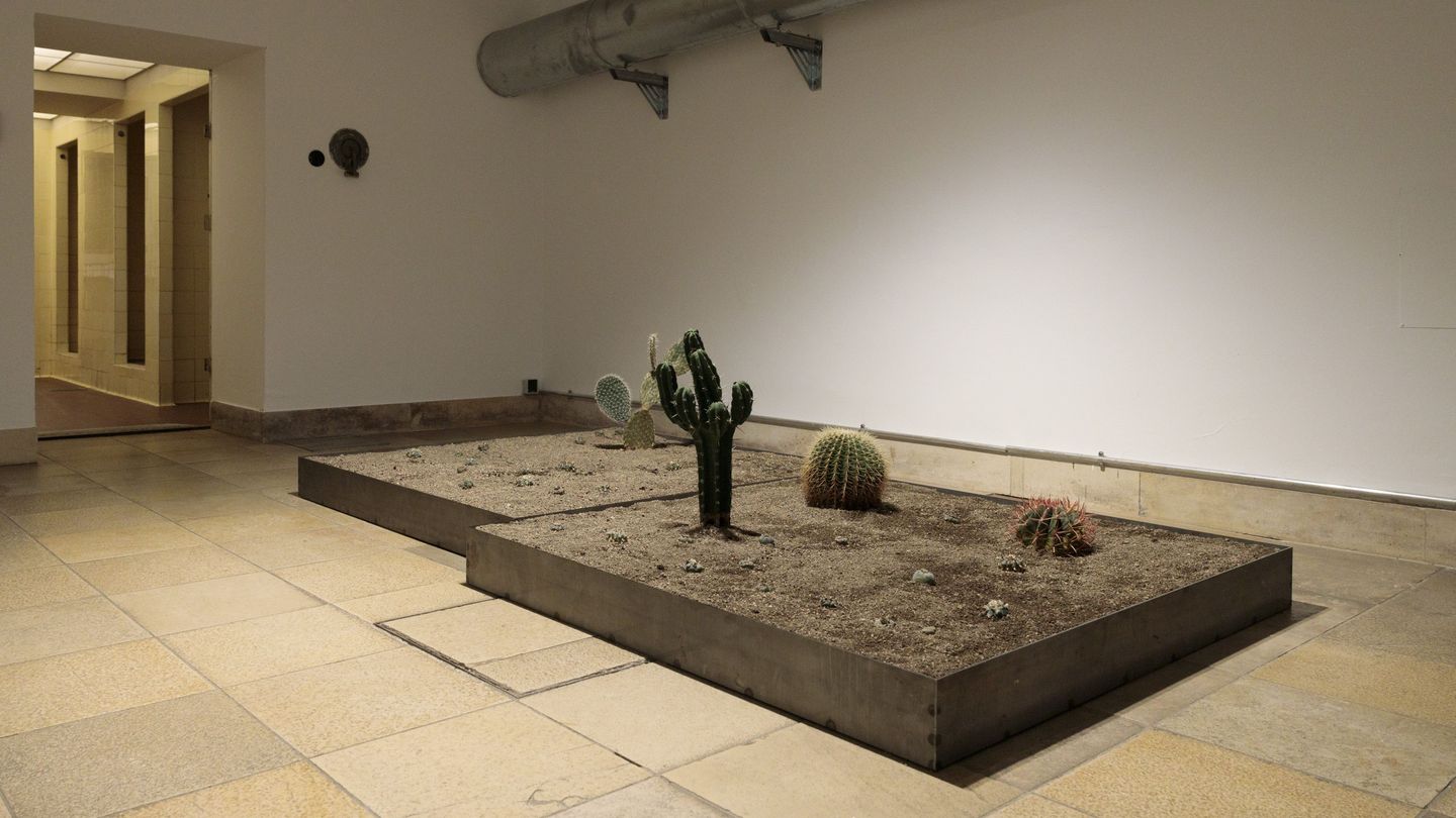 Entrance of the exhibition rooms in the air-raid shelter at Haus der Kunst with floor sculpture by Cyrill Lachauer: a flower bed with different cactuses. Cyrill Lachauer, Sammlung Goetz, München