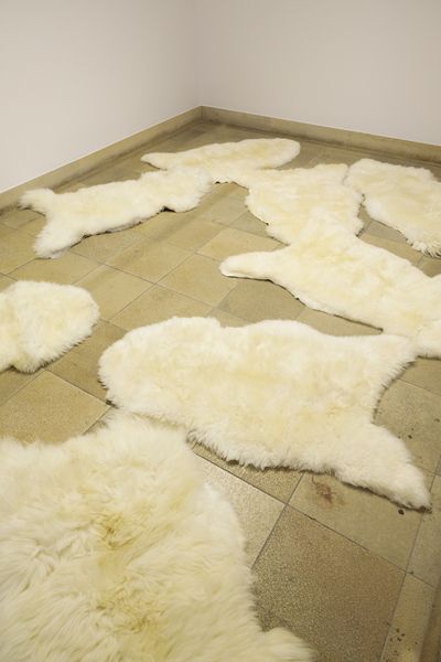 Mehrere Schafsfelle liegen im Ausstellungsraum auf dem Boden. Cyrill Lachauer, Sammlung Goetz, München