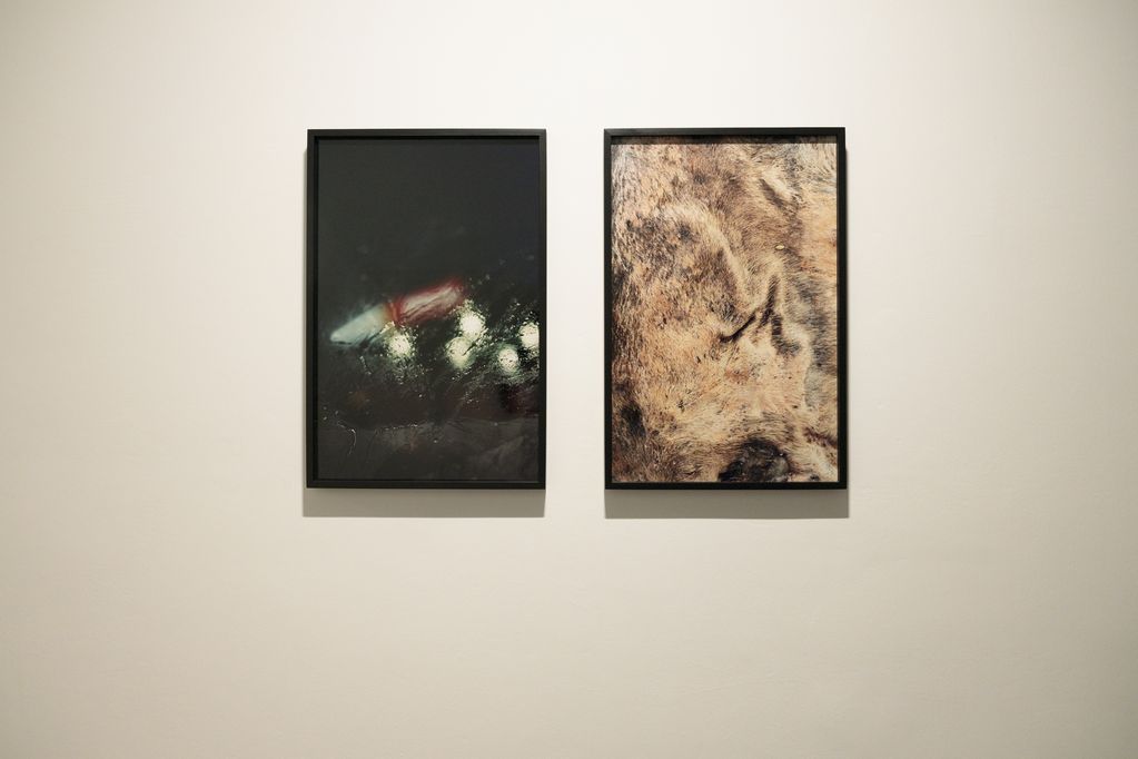 Two framed photographs, on the left the nightly shot of a street through the rainy windshield of a car, on the right the close-up of an animal skin. Cyrill Lachauer, Sammlung Goetz, Munich 