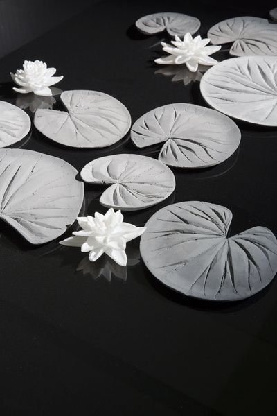 The black-and-white photograph shows water lily leaves and flowers lying on a black, slightly reflective background.