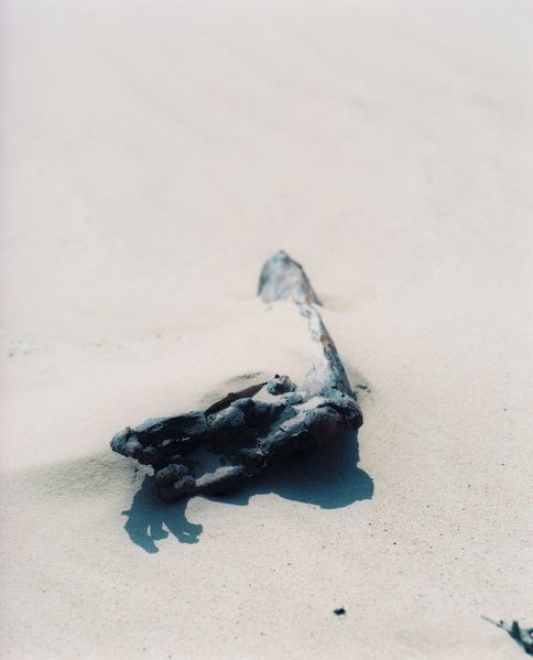 Fotografie eines verkohlten Stückes Holz, halb in hellem Sand vergraben