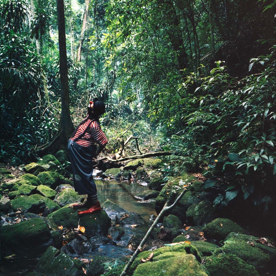 Colour photograph, a clown stands in a forest next to a small stream and looks up into the sky, Julian Rosefeldt, Sammlung Goetz, Munich