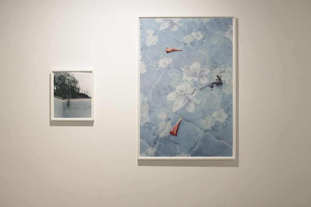 Zwei gerahmte Fotografien. Links die Treppe eines Leeren Swimmingpools, rechts abgefallene Pflanzenteile auf einer Matratze mit blauem Blumenmuster. Cyrill Lachauer, Sammlunbg Goetz, München